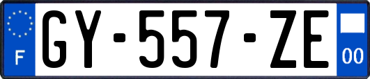 GY-557-ZE