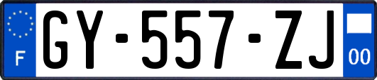 GY-557-ZJ