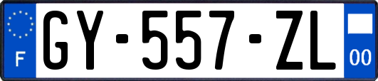 GY-557-ZL