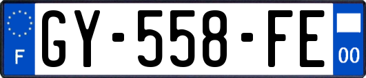GY-558-FE
