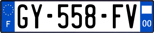 GY-558-FV