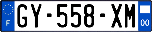 GY-558-XM