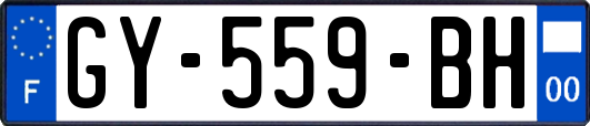 GY-559-BH