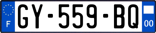 GY-559-BQ