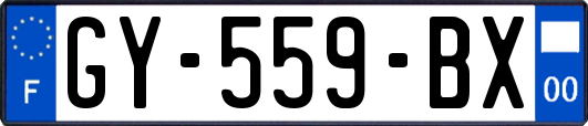 GY-559-BX