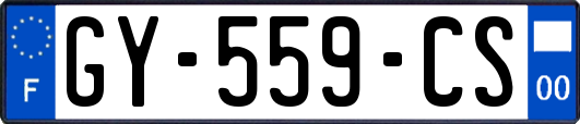 GY-559-CS