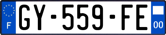 GY-559-FE