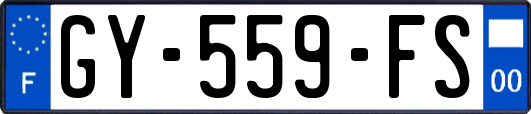GY-559-FS