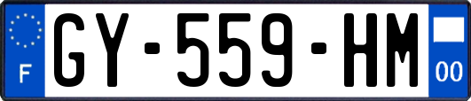 GY-559-HM