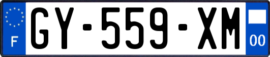 GY-559-XM