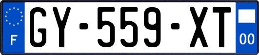 GY-559-XT