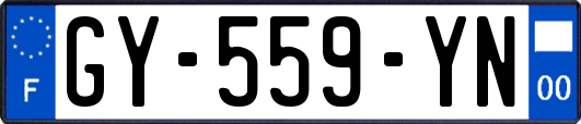 GY-559-YN
