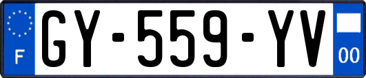 GY-559-YV