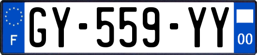 GY-559-YY