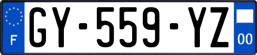 GY-559-YZ
