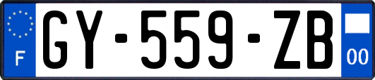 GY-559-ZB