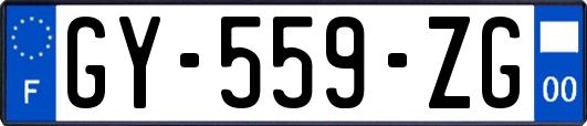 GY-559-ZG