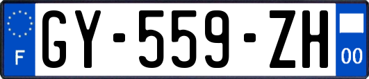 GY-559-ZH