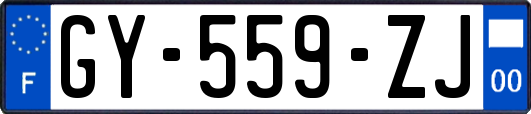 GY-559-ZJ
