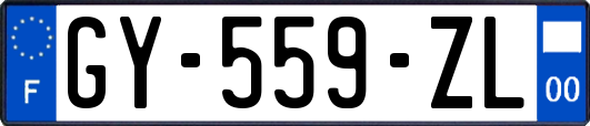 GY-559-ZL