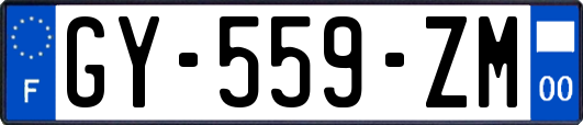 GY-559-ZM