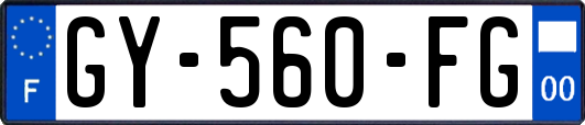 GY-560-FG