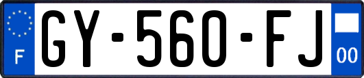 GY-560-FJ