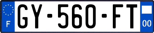 GY-560-FT