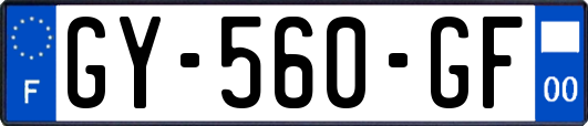 GY-560-GF