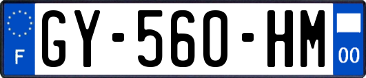 GY-560-HM