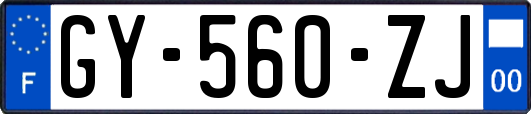 GY-560-ZJ
