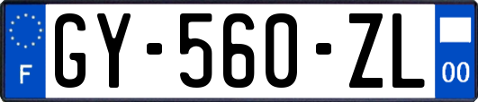 GY-560-ZL