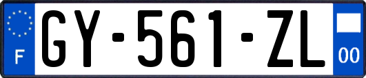GY-561-ZL