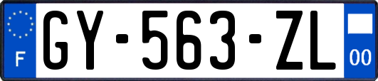 GY-563-ZL
