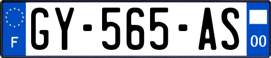 GY-565-AS