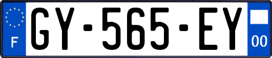 GY-565-EY