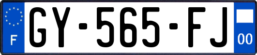 GY-565-FJ