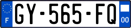 GY-565-FQ