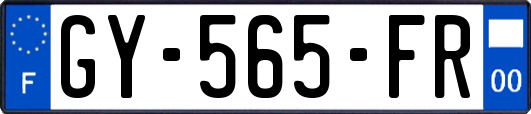 GY-565-FR