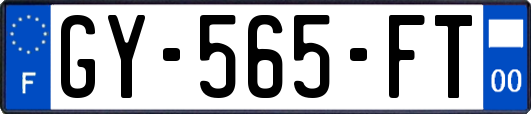 GY-565-FT