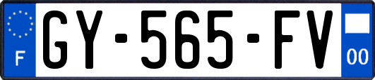 GY-565-FV