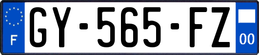 GY-565-FZ