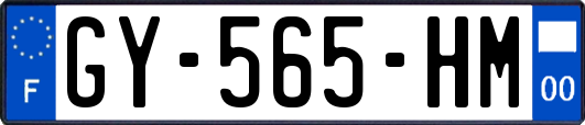 GY-565-HM