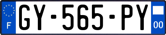 GY-565-PY