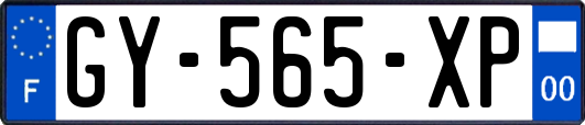 GY-565-XP