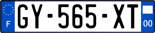 GY-565-XT