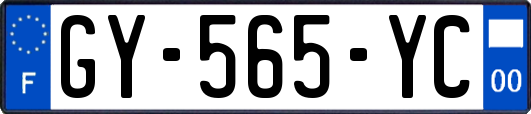 GY-565-YC