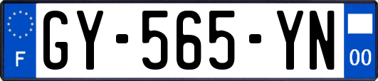 GY-565-YN