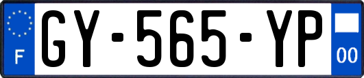 GY-565-YP
