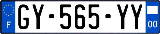 GY-565-YY
